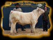 Cardinal Bonanza E881 PLD