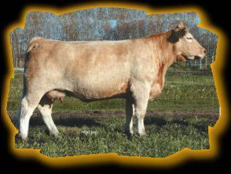 Hopewell Mirage 142L